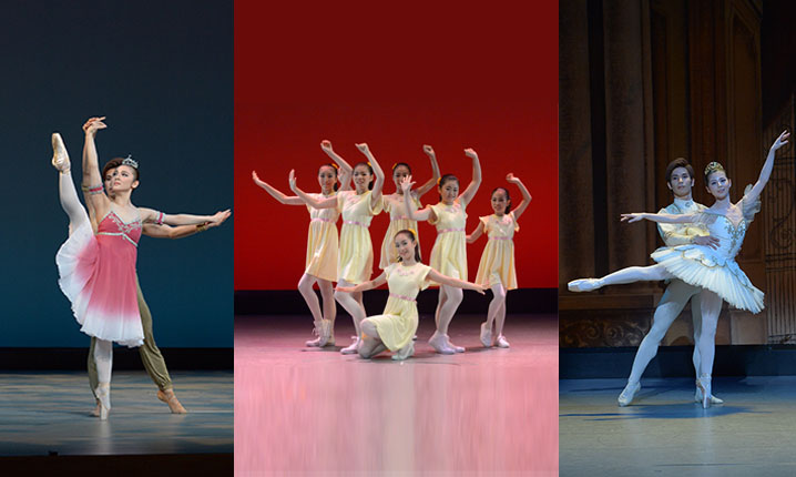 �ΐ�R���o���G�X�^�W�I ���₢���킹